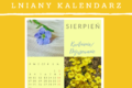 Dojrzewanie lnu – sierpniowa kartka z kalendarza
